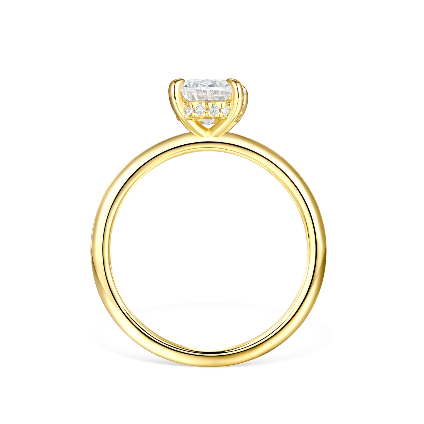 The Naledi - Gold