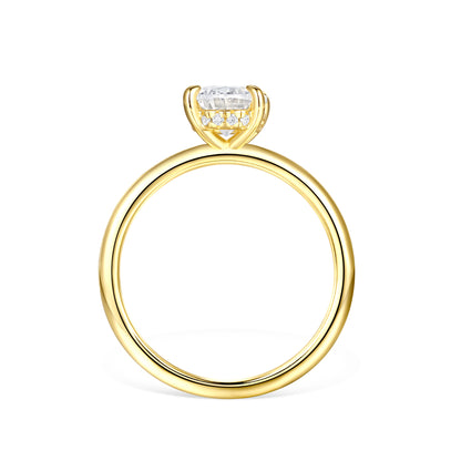 The Naledi - Gold