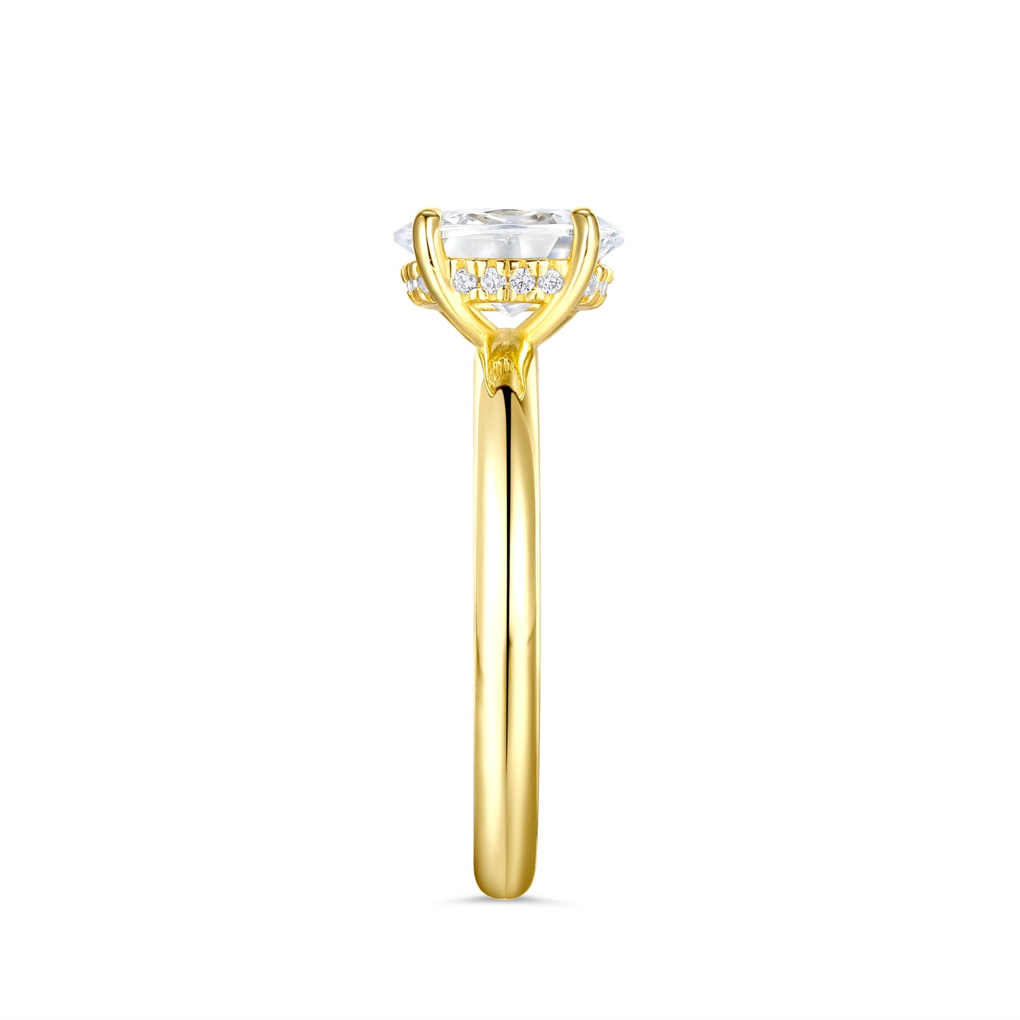 The Naledi - Gold