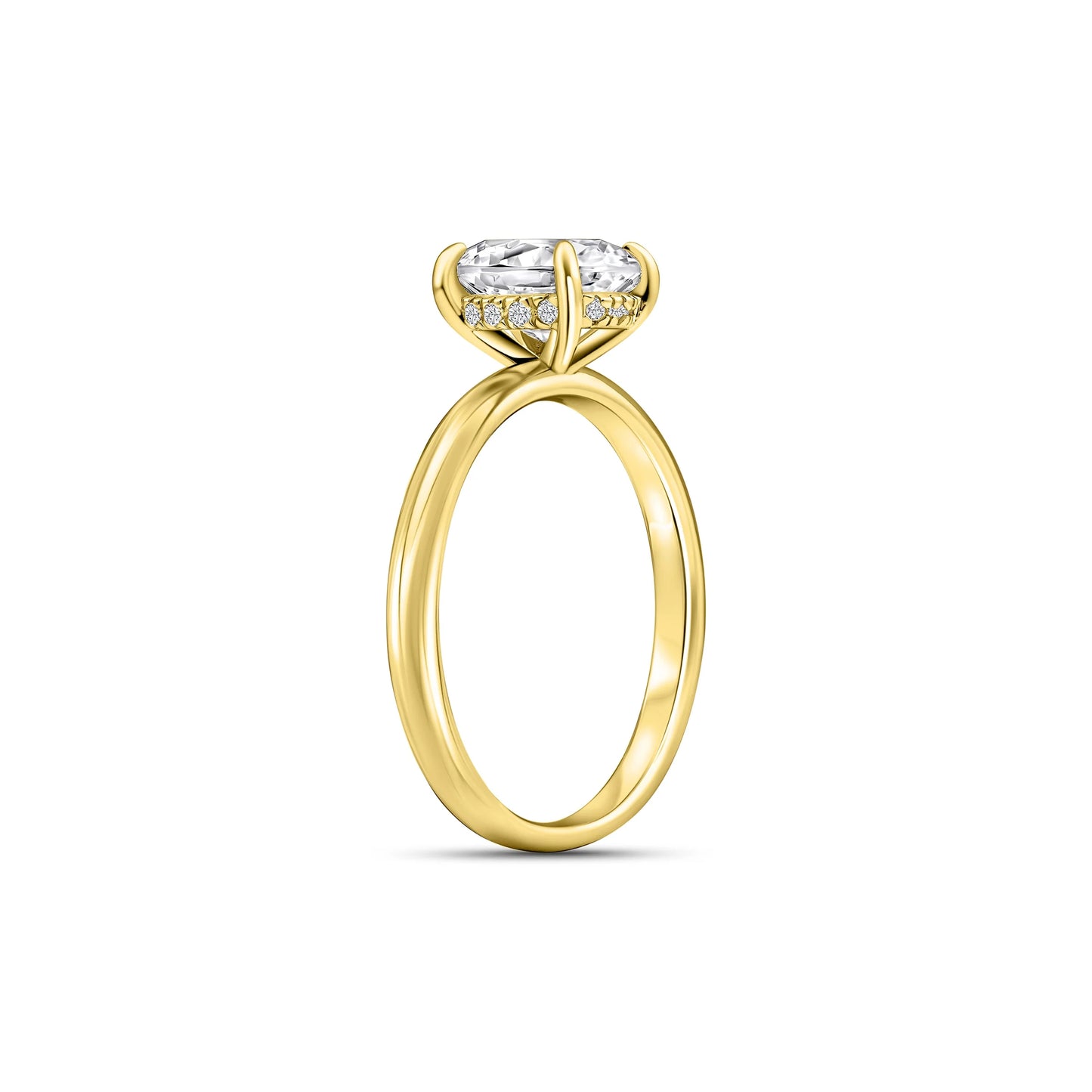 The Naledi - Gold